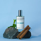 MINT CINNAMON - 100ml
